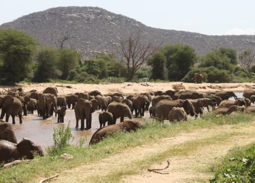 3-Days Samburu Road Package