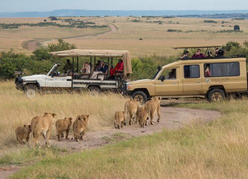 3-Day Maasai Mara Road Package