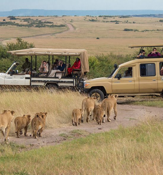 3-Day Maasai Mara Road Package