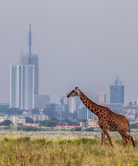 Nairobi Excursions
