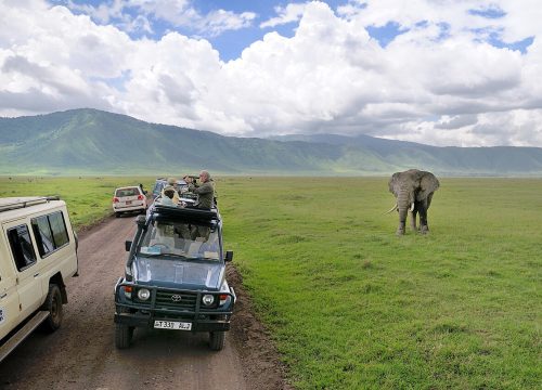 Explore Tanzania: Ultimate Guide to Unforgettable Adventures