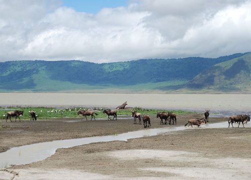 4-Days Ngorongoro & Serengeti Private Safari