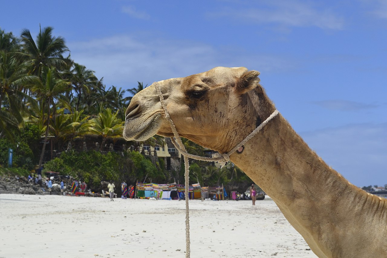 4-Days North Coast Flying Packages