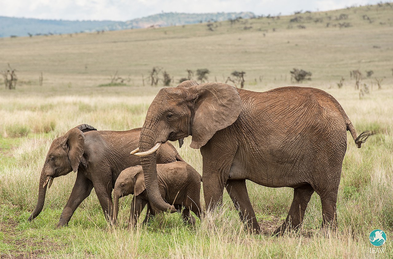 3-Days Amboseli National Park Road Package